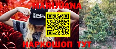 ПСИЛОЦИБИНОВЫЕ ГРИБЫ Кандалакша