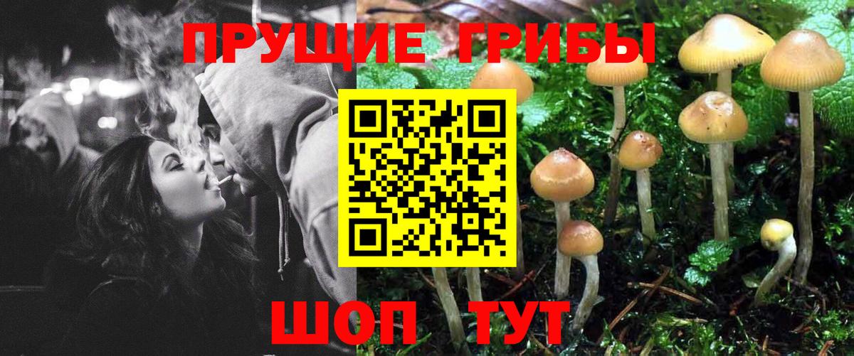 Галлюциногенные грибы Cubensis  купить  цена  Симферополь  Вход с VPN 